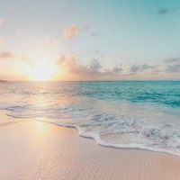 海獭揉脸